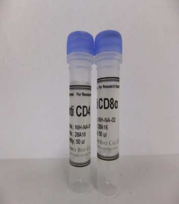抗ゼブラフィッシュＣＤ４モノクローナル抗体又は抗体フラグメント、抗ゼブラフィッシュＣＤ８αモノクローナル抗体又は抗体フラグメント及びそれらをコードする核酸